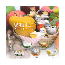 Fruit Cat PVC Figuurit Lelumallit Toimintahahmot Näytä patsaat 5 kpl Kerää