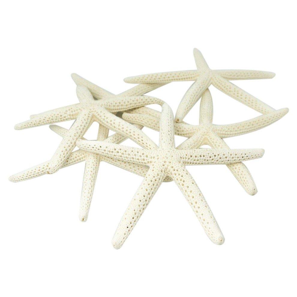 12 Stuks Witte Vinger Zeester 5-10 Cm Decoratieve Vijfvingerige Zeester-image
