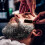 Professional Barber Straight Edge Razor Seat 2