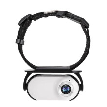 (As show, One size) Cat Camera Collar with 8GB Memory Card Wireless Small Sports Cam with Video Record 1080P High-Clear Body Camera for Pets Indoors/Outdoors