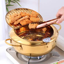 9.8 inch Deep Fryer Pot, 3.4L Tempura Deep Frying Pot Pan 304 Stainless Steel with Temperature Control and Oil Filter Rack