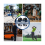 Lot de 4 compteurs à 4 chiffres, compteurs mécaniques portables, compteurs de pas 5