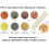 12 Fragrance Gift Pack with Burner 2