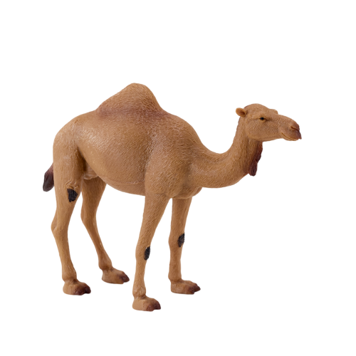 MOJO Arabisk Kamel Realistisk Handmålad Djurfigur 2