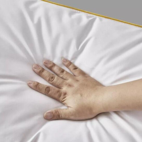 (Two Goose Feather Pillows) Hotel Quality Goose Feather and Down Pillows - 2 Or 4 Pack Options! 2