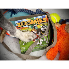 Gioco di tessere per famiglie Zoomies