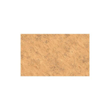WizKids Dungeons & Dragons Icons of the Realms Desert Battle Mat