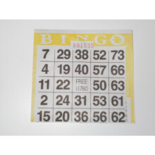 Sideline Hobby 1 bingopaperikorteilla (500) (keltainen)