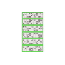 Bilhete Jumbo Bingo Individual 6 para Ver Pacote Verde