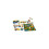 Gioco del domino con facce buffe 2