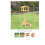 (Default) Premium Bird Table with Built in Feeder 2