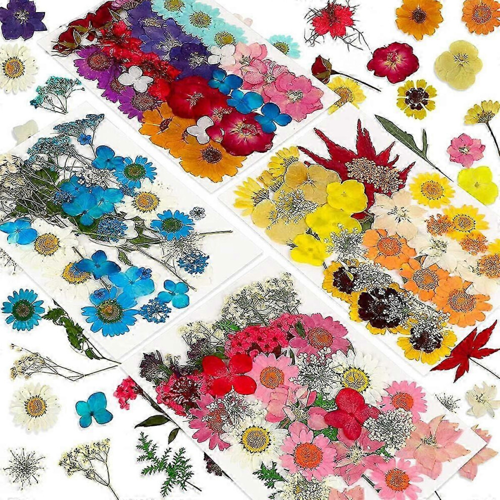 Kikidex (As Show, One Size) 144Pcs Natural Dried Pressed Flowers Compatible With Resin,Dry Flower Bulk Natural Herbs Kit Compatible With Candle,Epoxy R Green