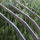 Gardening Pitchfork, Metal Large Fork Gardening Tool 5