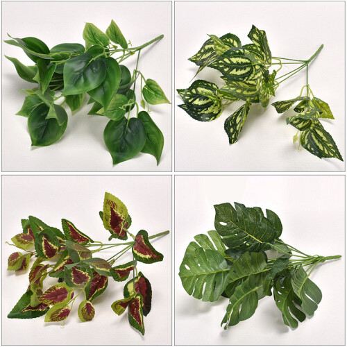 (White Edge Spider Plant)Plastica Monstera Deliciosa Epipremnum Aureum ...