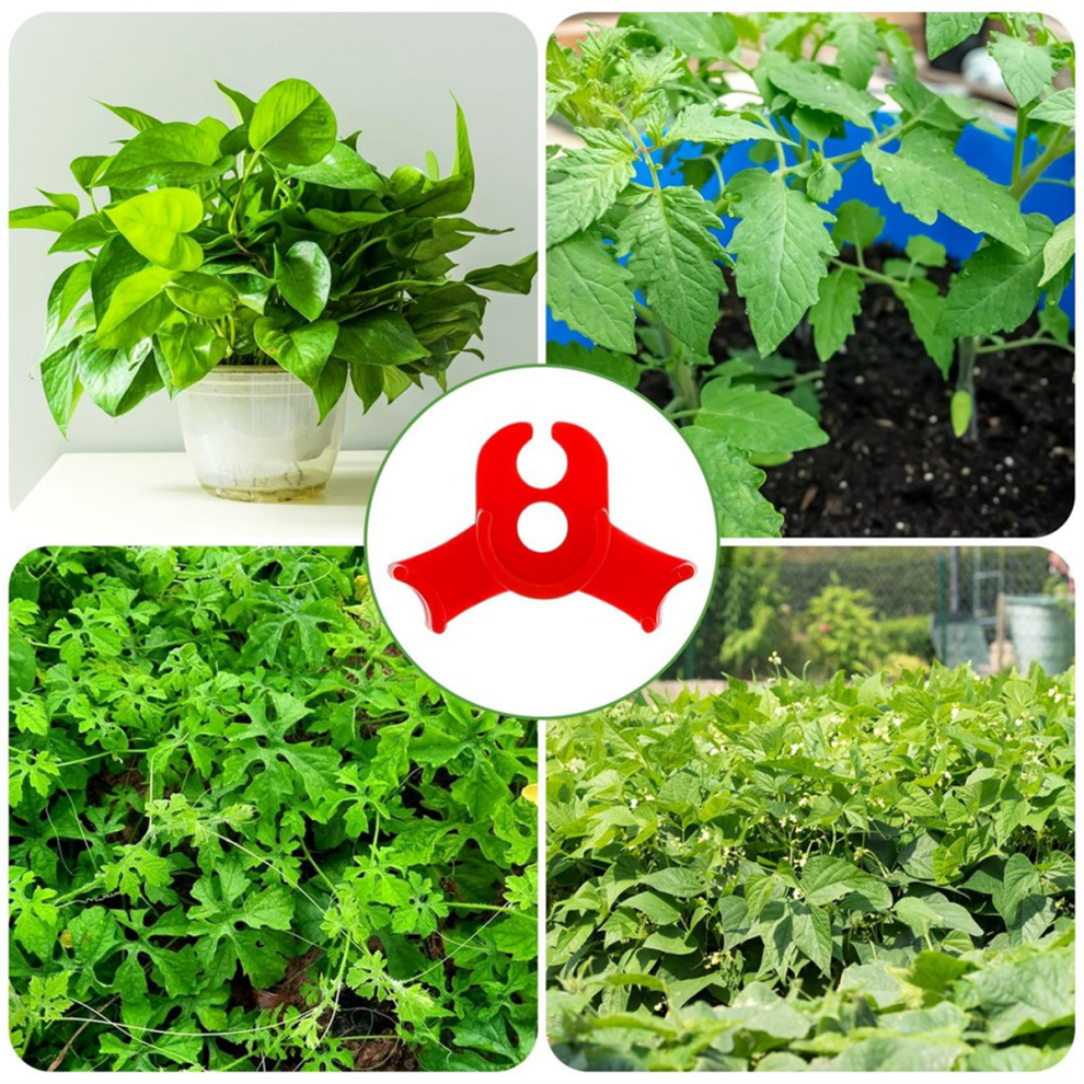 red plant-image-OPC-PHGCC26-NEW