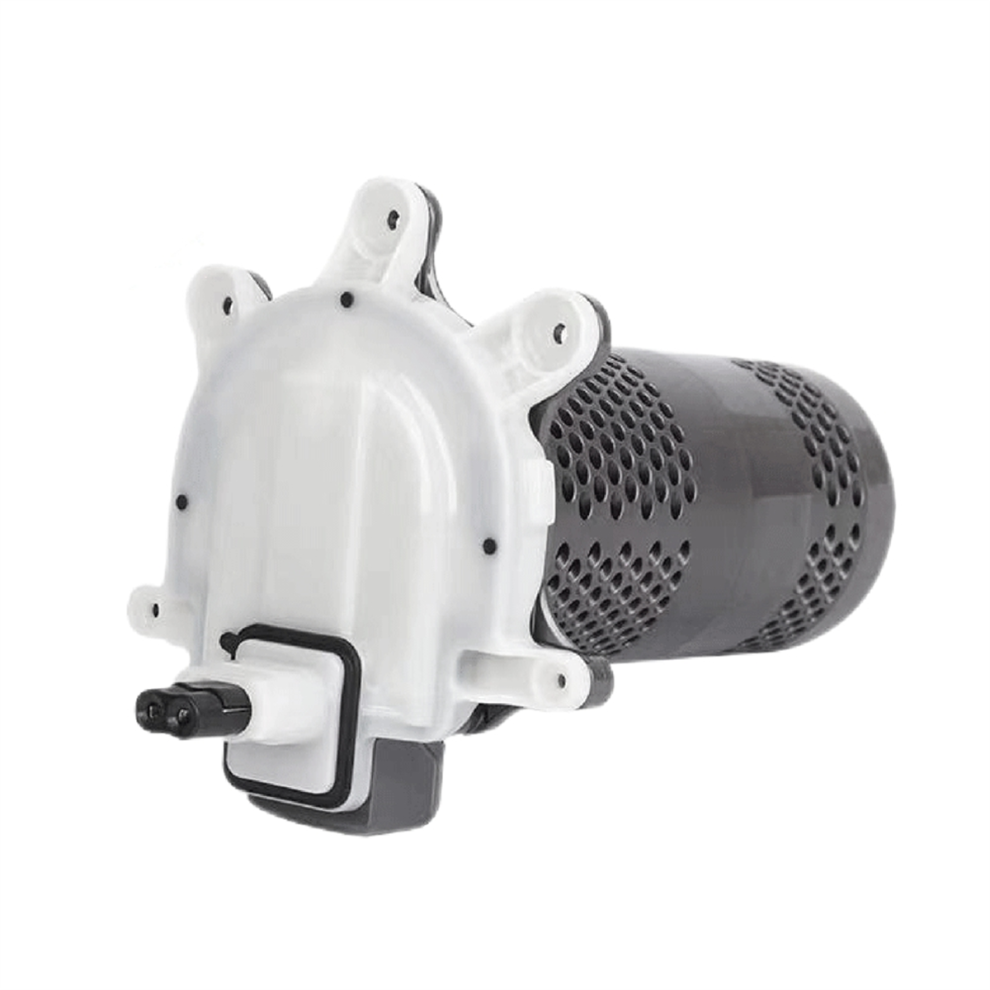 Nuovo Gruppo Motore Per Outsize SV16 (Versione Canadese)