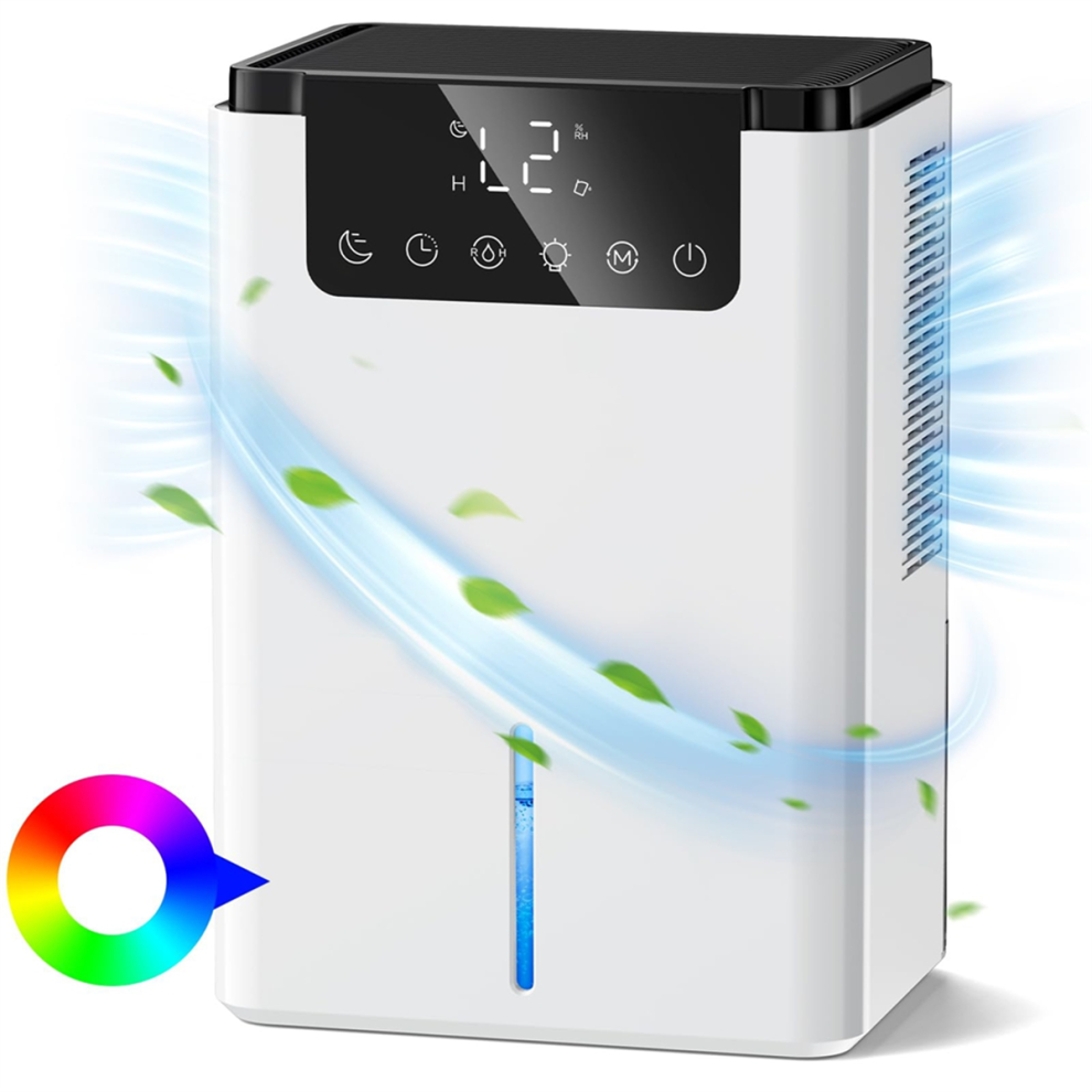 Déshumidificateur, déshumidificateur d'ambiance 2,2 L, purificateur d'air, prise UE