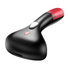 Home Hand Garment Iron Steamer for Clothes Travelling 1500W EU Plug