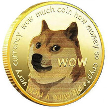 Dogecoin Coin Doge Coin Commemorative Coin Physical Blockchain Crypto Collectible Coin with Protective Case,1pc