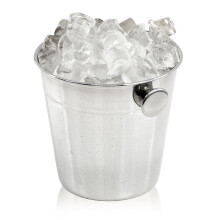 GEEZY Stainless Steel Mini Ice Bucket with Handle Kitchen Bar Ice Cube Serving Bucket