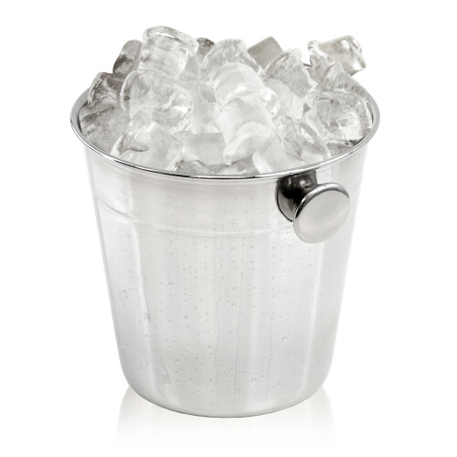 GEEZY GEEZY Stainless Steel Mini Ice Bucket with Handle Kitchen Bar Ice Cube Serving Bucket