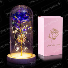 Eternal Rose In Glass Dome LED Light Birthday Women Valentine's Day Gifts
