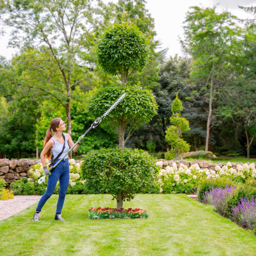 Gtech Gtech Long Reach Hedge Trimmer HT50 1