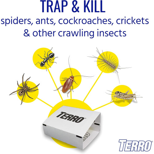TERRO T3206SR Non-Toxic Indoor Spider, Ant, Cockroach, Centipede 1