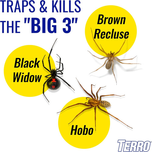 TERRO T3206SR Non-Toxic Indoor Spider, Ant, Cockroach, Centipede 2
