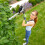 Gtech Gtech Lightweight Hedge Trimmer 10ft  LHT50 6
