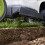 Gtech Gtech Cordless Lawnmower CLM50 3