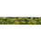 NC4050 MORO SELBSTAUFLADBARE MATTE NILS CAMP 10