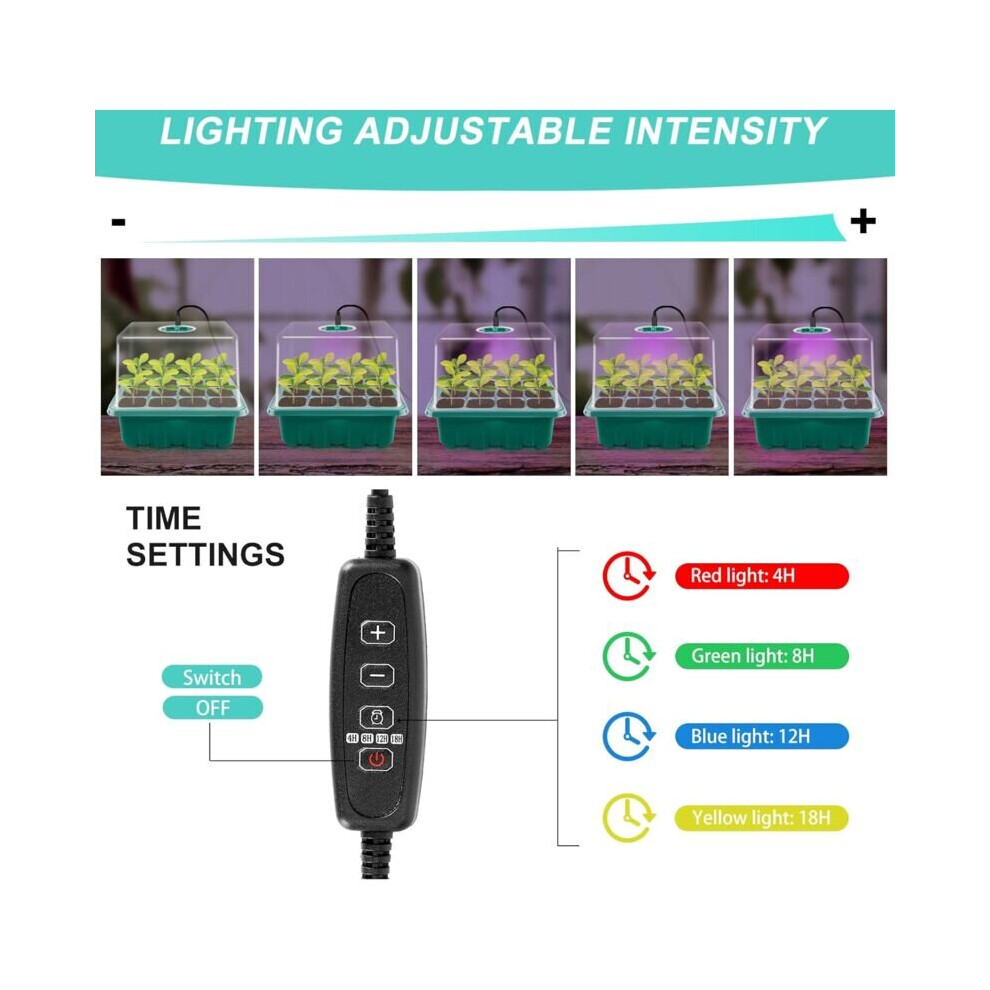 Lot de 5 mini-serres avec minuterie - Luminosité réglable - Serre d'intérieur avec couvercle et ventilation