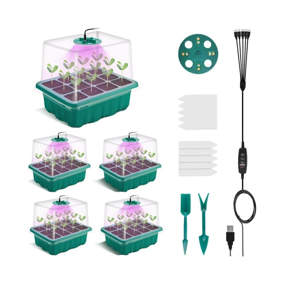 Lot de 5 mini-serres avec minuterie - Luminosité réglable - Serre d'intérieur avec couvercle et ventilation