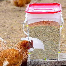 Mangeoire automatique pour poulets avec 6 ports et scie cloche, étanche à la pluie