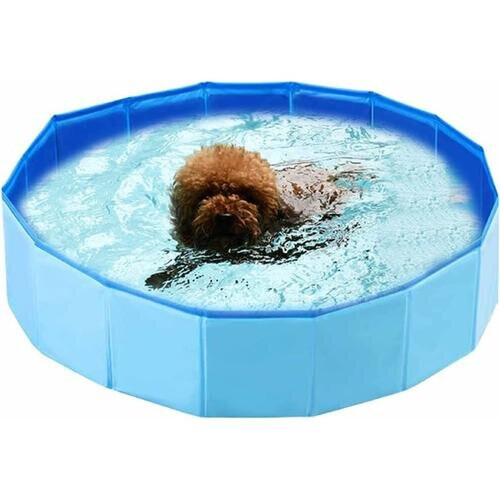 Piscina pieghevole per cani, piscina per cani, vasca per cani blu