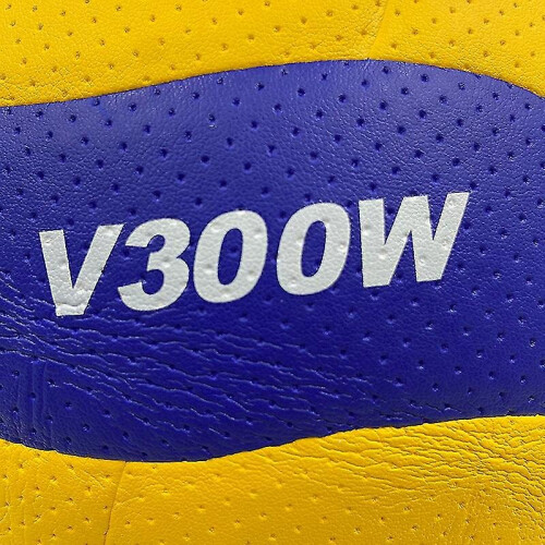 22 Voleibol V300w Competiciones profesionales Voleibol
