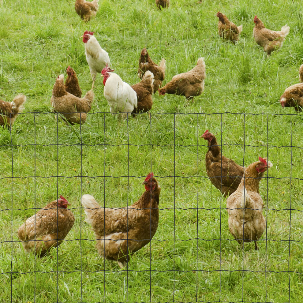 Pawhut 0.6Mx10m Chicken Wire Mesh Rabbit Poultry Animal Fence Pvc Coated Netting