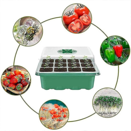 Plant Seed Grows Box Seed Starter Kits with Gloves Label Stickers Shovel 1