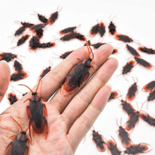 50 Pieces Prank Fake Roaches, Look Real Plastic Trick Joke Toys , Scary Insects Realistic Bugs Gag Gifts, Novelty Cockroach for Halloween Party (50 Pi