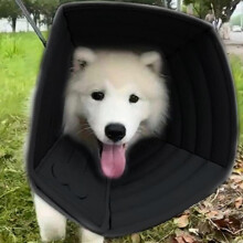 Anti-Bite Protection Cone Collars, Wound Collar Adjustable Neck Cone Protector, Post-OP Healing Collar Accelerate Wound Healing L Black