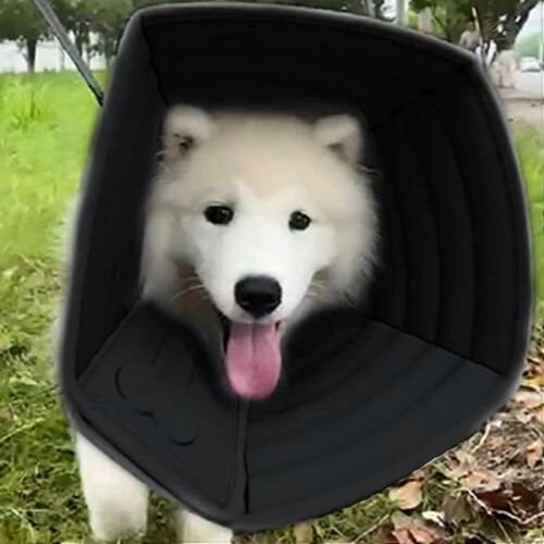 Anti-Bite Protection Cone Collars, Wound Collar Adjustable Neck Cone Protector, Post-OP Healing Collar Accelerate Wound Healing L Black