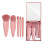 Easy-taken Travel Makeup Brush Set, 5pcs Mini Complete Function Cosmetic Brushes Kit with Mirror 1