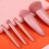 Easy-taken Travel Makeup Brush Set, 5pcs Mini Complete Function Cosmetic Brushes Kit with Mirror 3