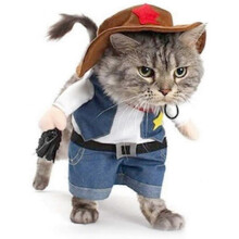 Cowboy Dog Costume with Hat Dog Clothes Halloween Costumes for Cat and Small Dog(small)