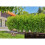 Gardena Gardena, Micro-Drip Irrigation Hedge & Bush Set, 13500-20 9