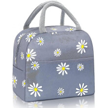 Insulated Lunch Bags, Insulated Bags Portable Lunch Bags Refrigerated Picnic Bags