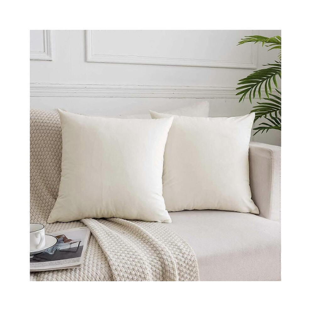 Housse de Velours Décorative pour Canapé Lit Sofa, Lot de 2 Coussins Doux et Luxueux, 22x22 Pouces, Blanc Crème