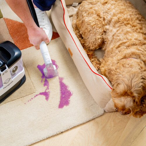 Gtech Gtech Penguin Spot Cleaner 2