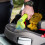 Gtech Gtech Koala Spot Cleaner 4